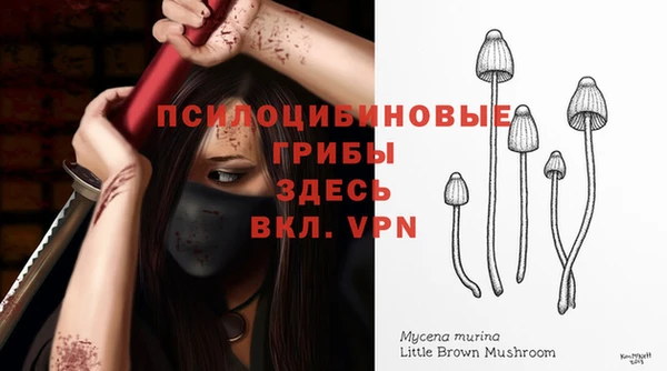 дмт Алексеевка