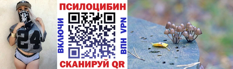 наркошоп  Кимры  Галлюциногенные грибы Magic Shrooms 
