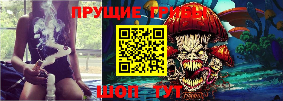 Псилоцибиновые грибы Cubensis Кимры