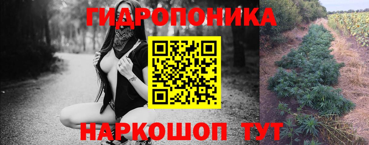 Бошки марихуана Bruce Banner Кимры
